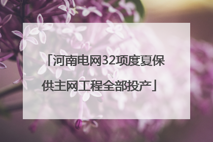 河南电网32项度夏保供主网工程全部投产