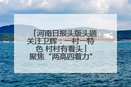 河南日报头版头题关注卫辉：一村一特色 村村有看头 ︳聚焦“两高四着力”·一“县”观察