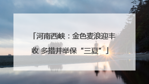 河南西峡：金色麦浪迎丰收 多措并举保“三夏”