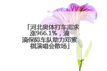 河北奥体打车需求涨966.1%，滴滴保障车队助力邓紫棋演唱会散场