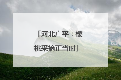 河北广平：樱桃采摘正当时