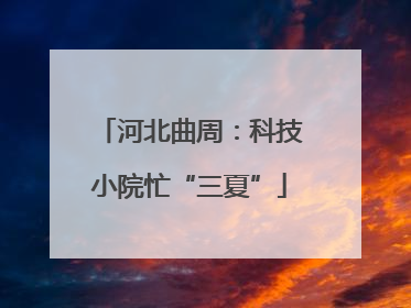 河北曲周：科技小院忙“三夏”