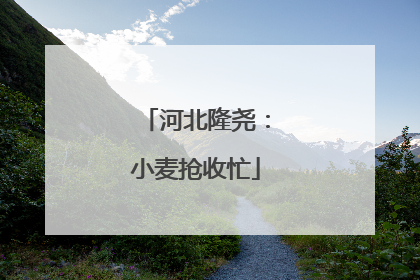 河北隆尧：小麦抢收忙