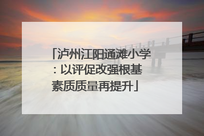 泸州江阳通滩小学：以评促改强根基 素质质量再提升