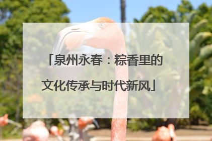 泉州永春：粽香里的文化传承与时代新风