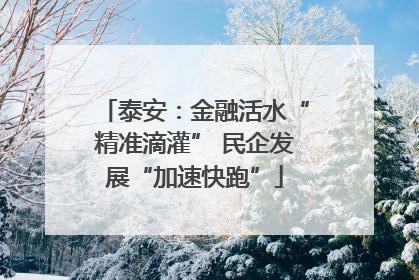 泰安：金融活水“精准滴灌” 民企发展“加速快跑”