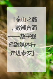 泰山之麓，数潮奔涌——数字强省融媒体行走进泰安