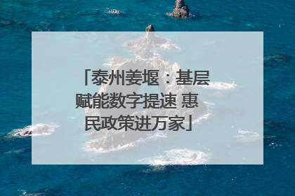 泰州姜堰：基层赋能数字提速 惠民政策进万家