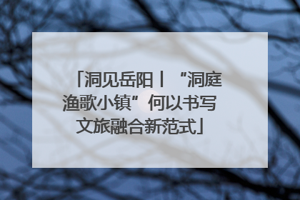 洞见岳阳丨“洞庭渔歌小镇”何以书写文旅融合新范式