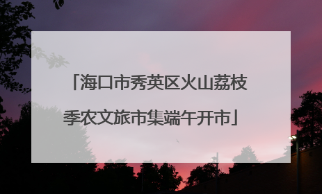 海口市秀英区火山荔枝季农文旅市集端午开市