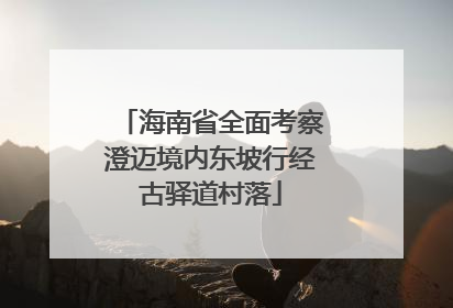 海南省全面考察澄迈境内东坡行经古驿道村落