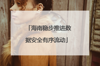 海南稳步推进数据安全有序流动