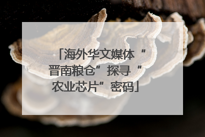 海外华文媒体“晋南粮仓”探寻“农业芯片”密码