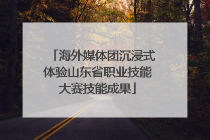 海外媒体团沉浸式体验山东省职业技能大赛技能成果