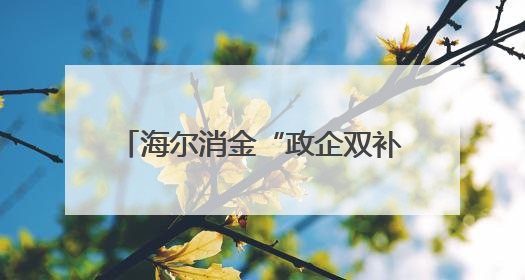 海尔消金“政企双补”让消费者从“想要买”到“买得起”