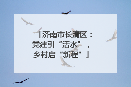 济南市长清区：党建引“活水”，乡村启“新程”