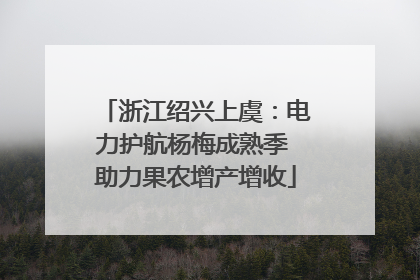 浙江绍兴上虞：电力护航杨梅成熟季 助力果农增产增收