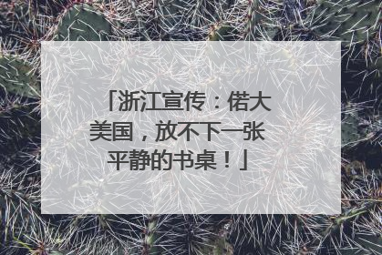 浙江宣传：偌大美国，放不下一张平静的书桌！