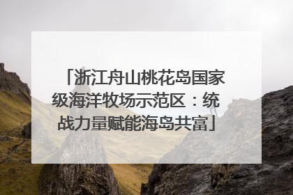 浙江舟山桃花岛国家级海洋牧场示范区：统战力量赋能海岛共富