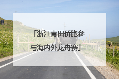 浙江青田侨胞参与海内外龙舟赛