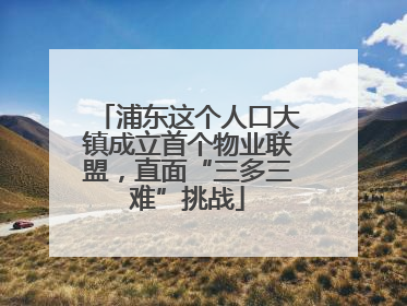浦东这个人口大镇成立首个物业联盟，直面“三多三难”挑战