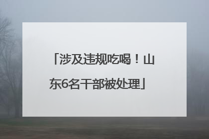 涉及违规吃喝！山东6名干部被处理