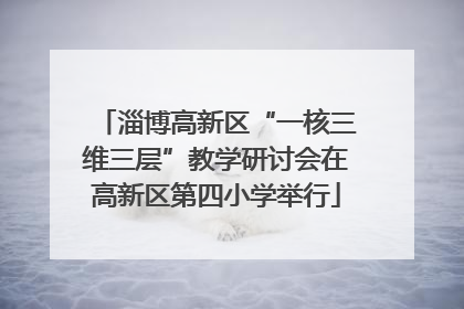 淄博高新区“一核三维三层”教学研讨会在高新区第四小学举行