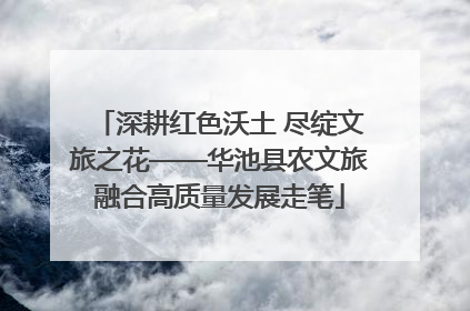 深耕红色沃土 尽绽文旅之花——华池县农文旅融合高质量发展走笔