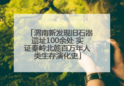 渭南新发现旧石器遗址100余处 实证秦岭北麓百万年人类生存演化史