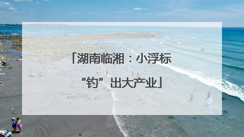 湖南临湘：小浮标“钓”出大产业