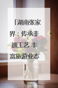 湖南张家界：传承非遗工艺 丰富旅游业态