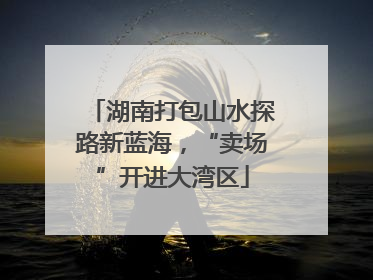 湖南打包山水探路新蓝海，“卖场”开进大湾区