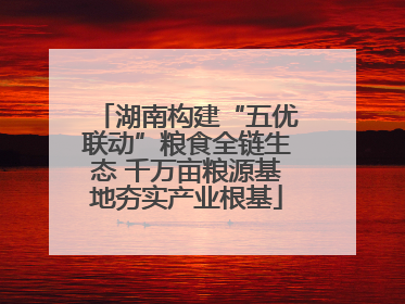 湖南构建“五优联动”粮食全链生态 千万亩粮源基地夯实产业根基