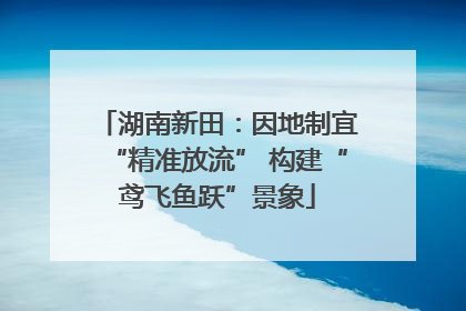 湖南新田：因地制宜“精准放流” 构建“鸢飞鱼跃”景象