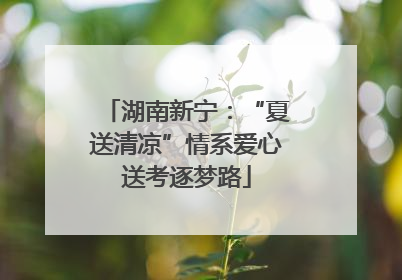 湖南新宁：“夏送清凉”情系爱心送考逐梦路