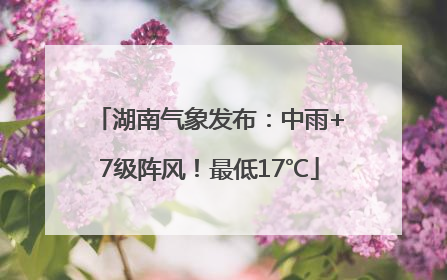 湖南气象发布：中雨+7级阵风！最低17℃