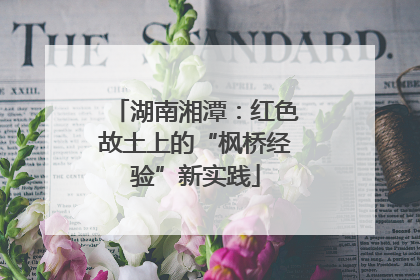 湖南湘潭：红色故土上的“枫桥经验”新实践