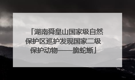 湖南舜皇山国家级自然保护区巡护发现国家二级保护动物——脆蛇蜥