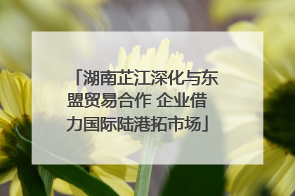 湖南芷江深化与东盟贸易合作 企业借力国际陆港拓市场