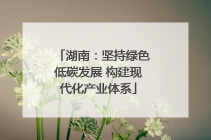 湖南：坚持绿色低碳发展 构建现代化产业体系