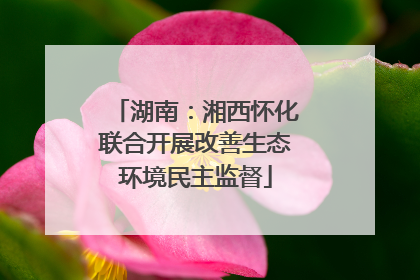 湖南：湘西怀化联合开展改善生态环境民主监督