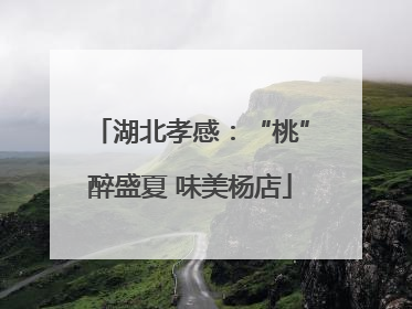 湖北孝感：“桃”醉盛夏 味美杨店