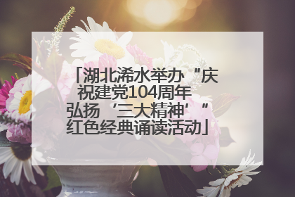 湖北浠水举办“庆祝建党104周年 弘扬‘三大精神’”红色经典诵读活动