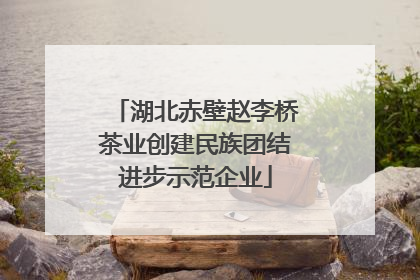 湖北赤壁赵李桥茶业创建民族团结进步示范企业