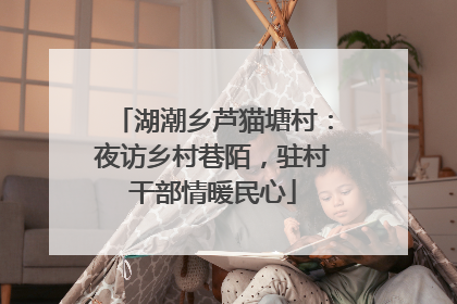 湖潮乡芦猫塘村：夜访乡村巷陌，驻村干部情暖民心