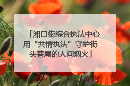 湘口街综合执法中心用“共情执法”守护街头巷尾的人间烟火