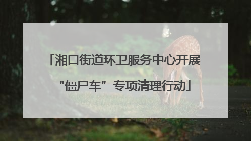 湘口街道环卫服务中心开展“僵尸车”专项清理行动