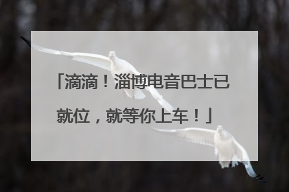 滴滴！淄博电音巴士已就位，就等你上车！