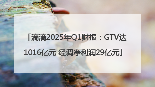 滴滴2025年Q1财报：GTV达1016亿元 经调净利润29亿元