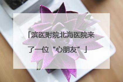 滨医附院北海医院来了一位“心朋友”